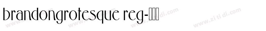 brandongrotesque reg字体转换